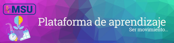 Plataforma de aprendizaje MSU